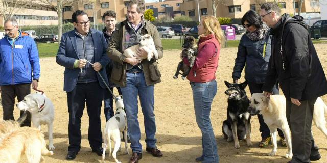 El Ayuntamiento de Boadilla rescata a 160 animales en lo que va de año El Ayuntamiento de Boadilla rescata a 160 animales en lo que va de año