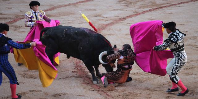 Pablo Saugar “Pirri”, subalterno de Curro Díaz y vecino de Boadilla, sufre una dura cornada Pablo Saugar “Pirri”, subalterno de Curro Díaz y vecino de Boadilla, sufre una dura cornada