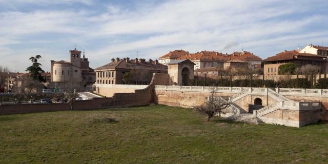 En marcha un programa piloto para la captura de la cotorra argentina en Boadilla