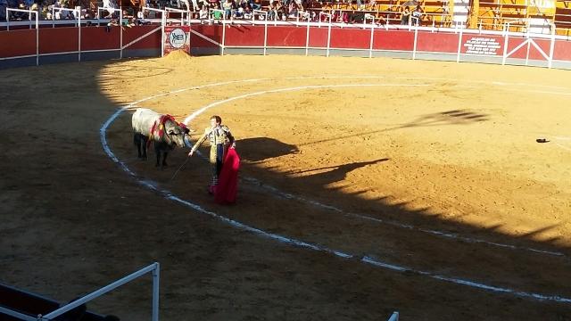 171009 fiestas boadilla4