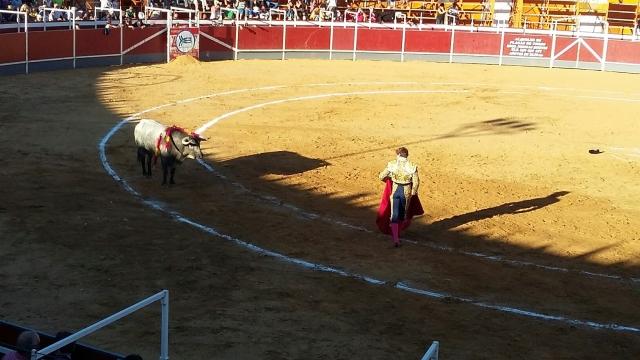 171009 fiestas boadilla5