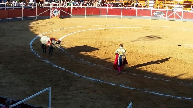 171009 fiestas boadilla5