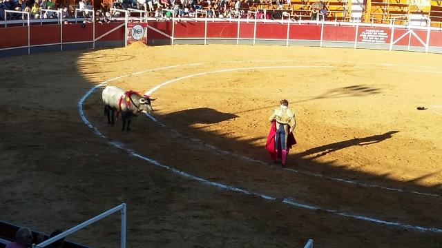 171009 fiestas boadilla6