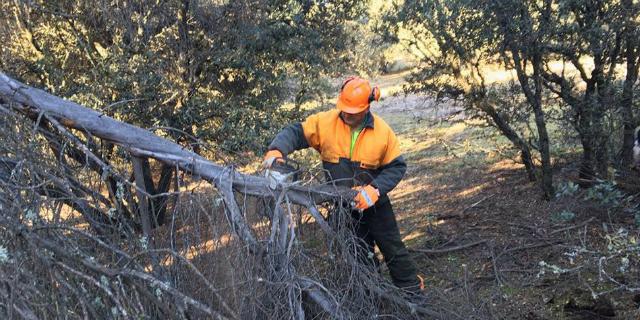 Boadilla pone a punto el cortafuegos del Monte de Boadilla para evitar incendios 