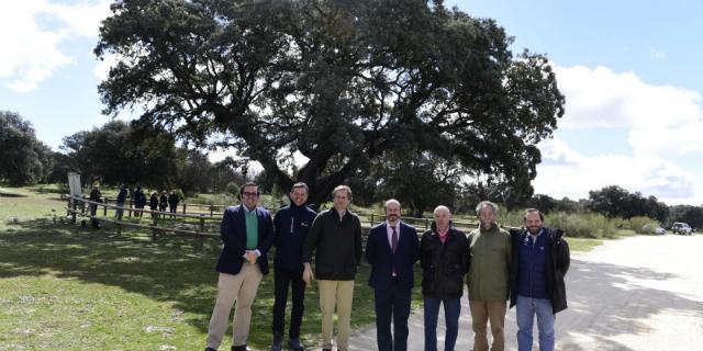 Nueve árboles singulares de Boadilla serán clonados para mantener el patrimonio natural de la región