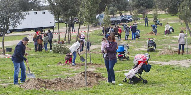 Los bebés de Boadilla nacidos en 2017 podrán tener su árbol homenaje