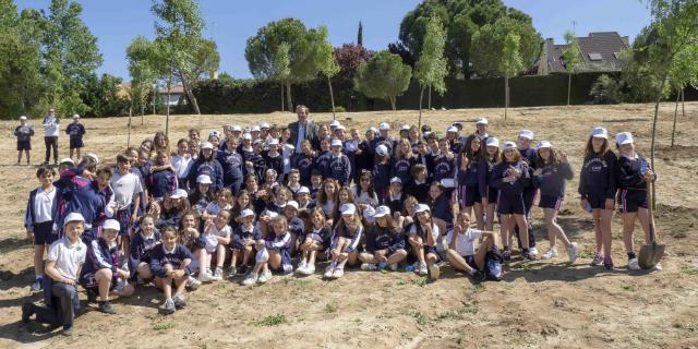 Escolares de Boadilla plantan entre Valdepastores y El Encinar 200 árboles 