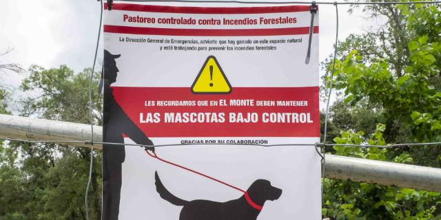 Los perros no podrán ir sueltos por el monte de Boadilla para no perjudicar a las ovejas Los perros no podrán ir sueltos por el monte de Boadilla para no perjudicar a las ovejas