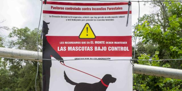 Los perros no podrán ir sueltos por el monte de Boadilla para no perjudicar a las ovejas