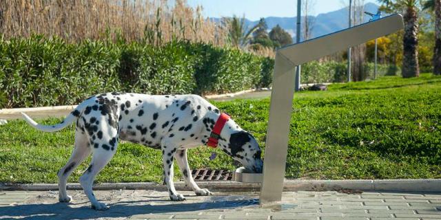 Cs Boadilla pide fuentes mixtas en los parques del municipio Cs Boadilla pide fuentes mixtas en los parques del municipio