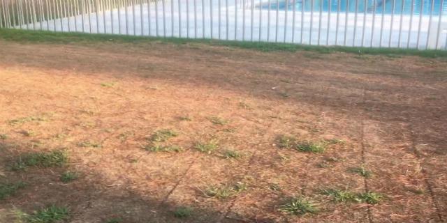 Cs Boadilla pide la devolución parcial del coste de las entradas a las piscinas municipales por su mal estado Cs Boadilla pide la devolución parcial del coste de las entradas a las piscinas municipales por su mal estado