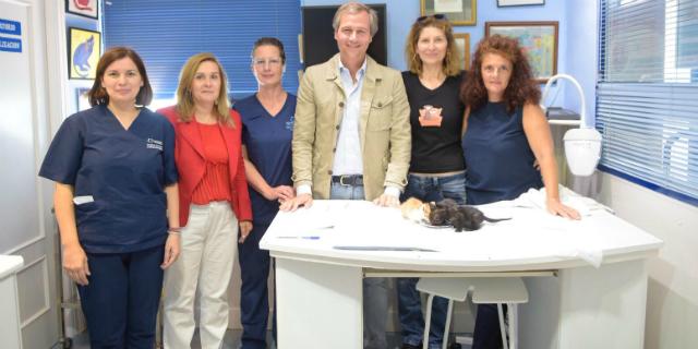 Boadilla controlará el crecimiento de la población de gatos con un programa piloto de esterilización Boadilla controlará el crecimiento de la población de gatos con un programa piloto de esterilización