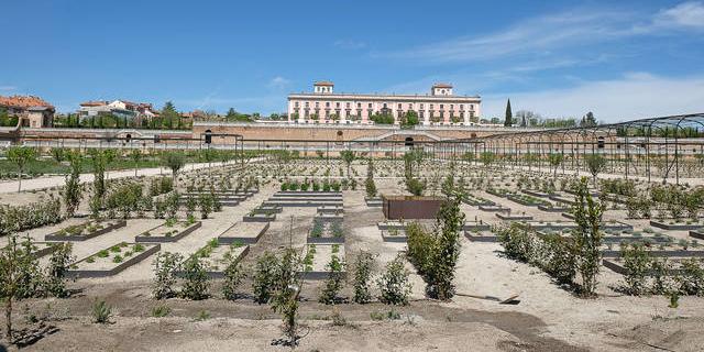 Abiertas las Huertas del Palacio del Infante Don Luis a los visitantes 