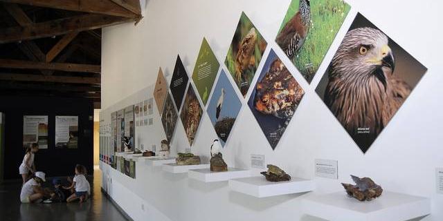 El Aula Medioambiental ofrece campamentos de verano y una variada programación trimestral El Aula Medioambiental ofrece campamentos de verano y una variada programación trimestral
