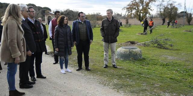 350 nuevos árboles en Boadilla para crear el proyecto Arco Verde de la Comunidad