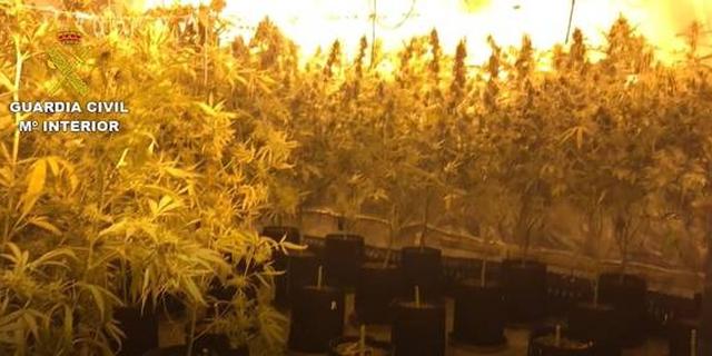 Requisan 700 kilos de marihuana y detienen a 14 personas en dos viviendas de Boadilla y Móstoles