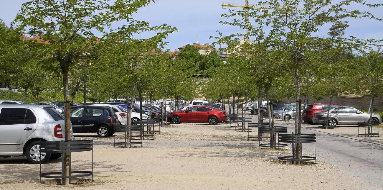 El Ayuntamiento instala 125 protectores de árboles en el estacionamiento del palacio El Ayuntamiento instala 125 protectores de árboles en el estacionamiento del palacio