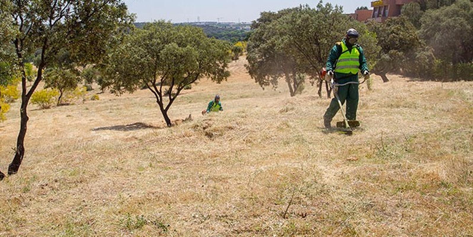 Boadilla recuerda la obligación de limpiar y desbrozar los terrenos para evitar incendios