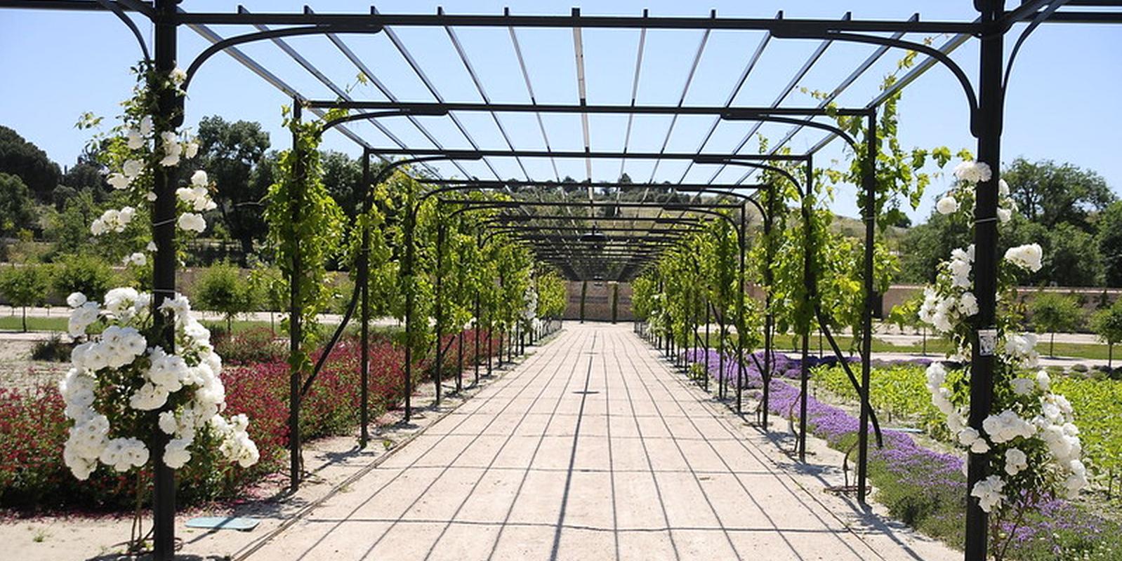 Boadilla anuncia la reapertura de algunos parques del municipio Boadilla anuncia la reapertura de algunos parques del municipio