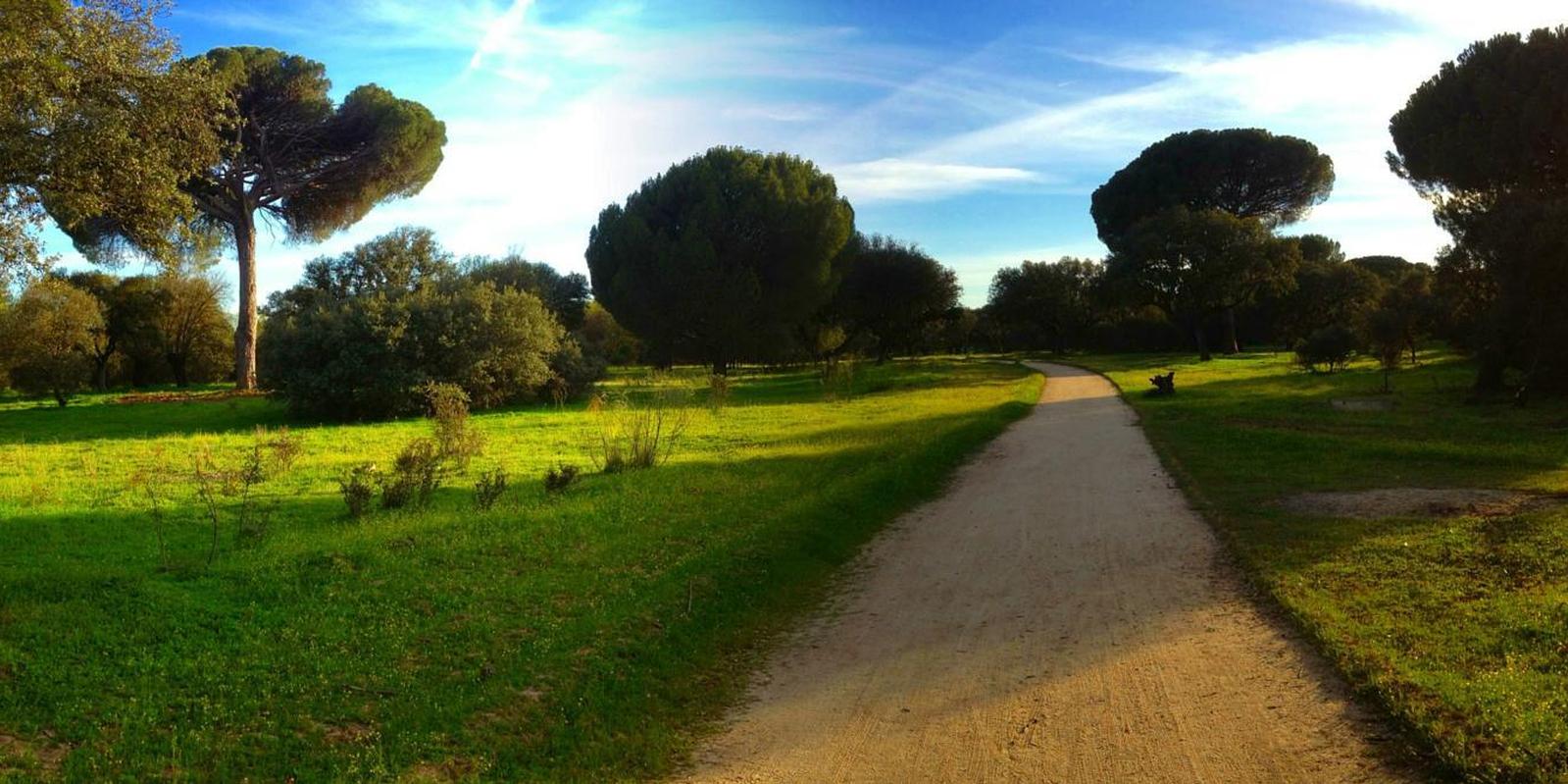 El PSOE pide regular el uso de las bicis en el Monte de Boadilla 