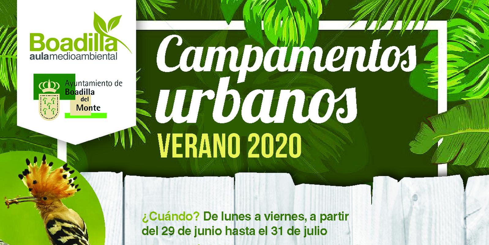 El Aula Medioambiental ofrece campamentos urbanos en julio para niños de 6 a 12 años El Aula Medioambiental ofrece campamentos urbanos en julio para niños de 6 a 12 años