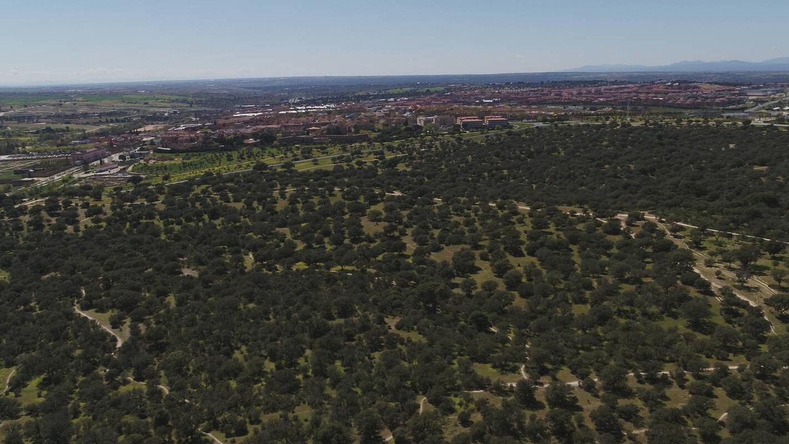 El PSOE pide declarar de utilidad pública el Monte de Boadilla El PSOE pide declarar de utilidad pública el Monte de Boadilla