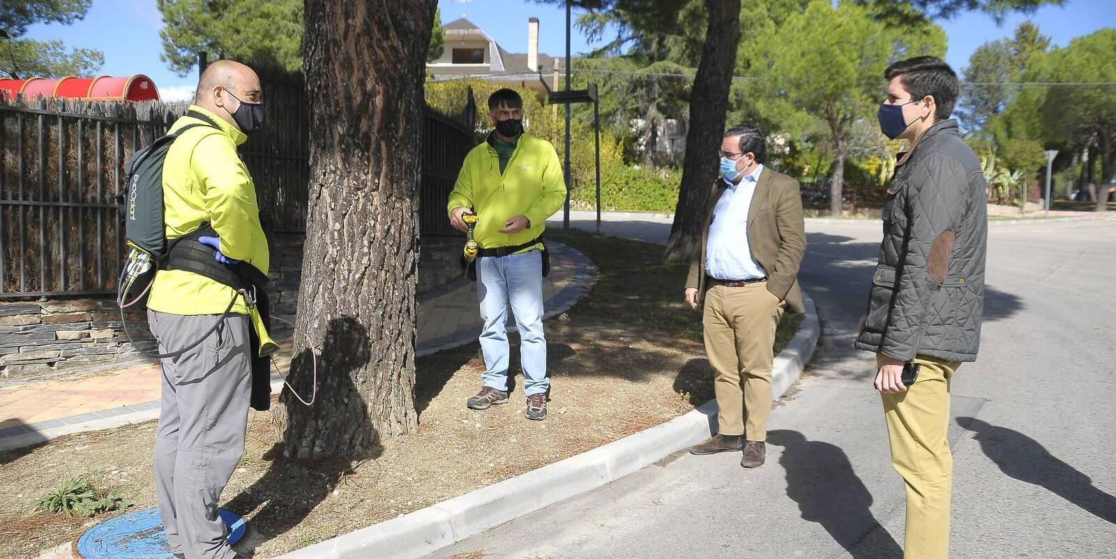 Boadilla trabaja con un nuevo método en el control de la oruga procesionaria