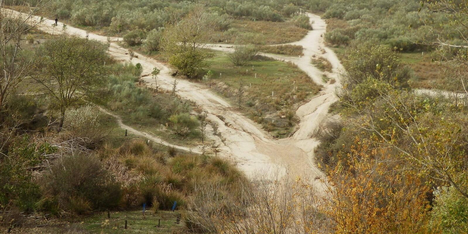 La Comunidad crea un corredor ecológico para conectar Boadilla y la Casa de Campo