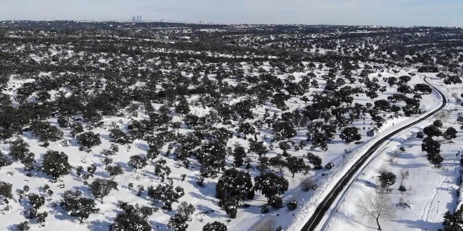 El Ayuntamiento de Boadilla pide no acudir al monte por la elevada peligrosidad