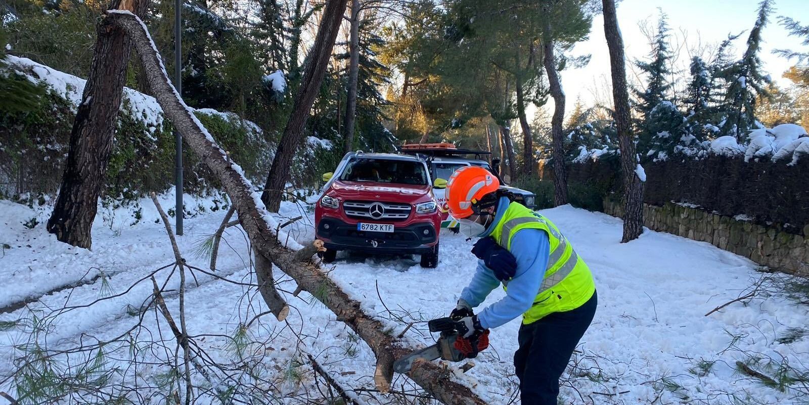 Cs Boadilla propone un plan para recuperar la masa forestal afectada por la nieve