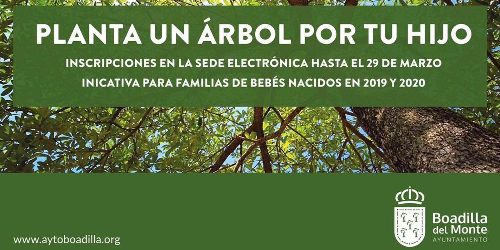 Un árbol en Boadilla que recuerde el nacimiento de los niños nacidos en 2019 y 2020 