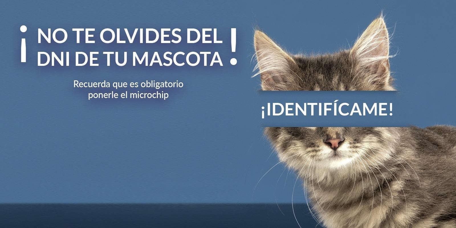 Boadilla lanza una campaña de concienciación sobre la identificación de los animales de compañía con microchip 