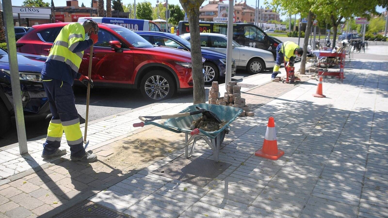 Boadilla adoquina los alcorques de los ejes comerciales para evitar la acumulación de suciedad