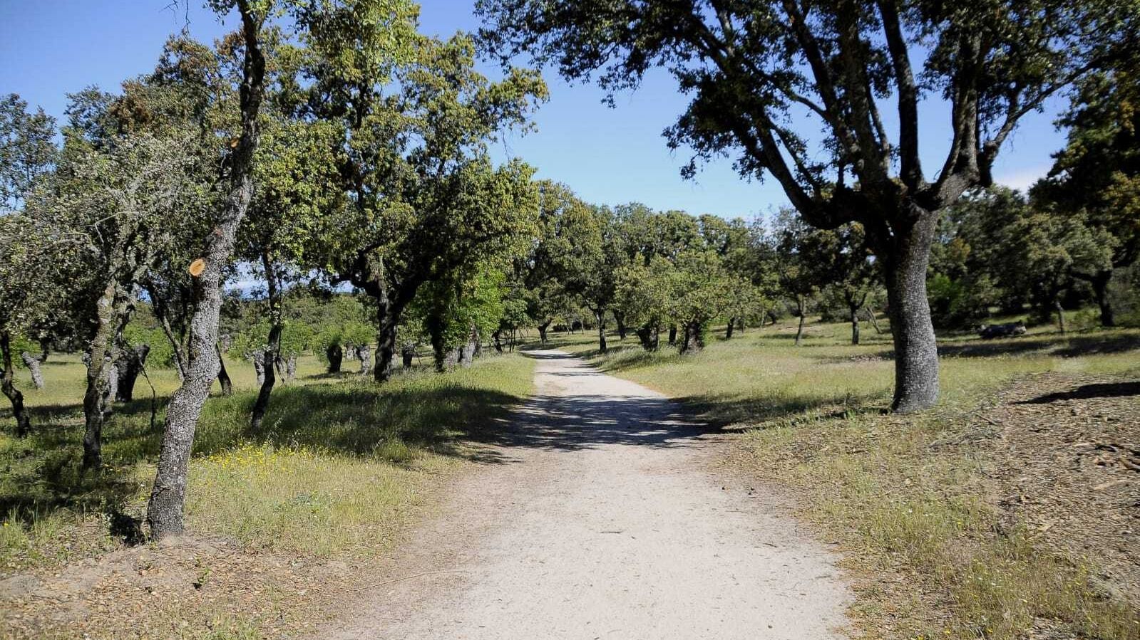 El GREFA organiza actividades sobre concienciación en el Monte de Boadilla