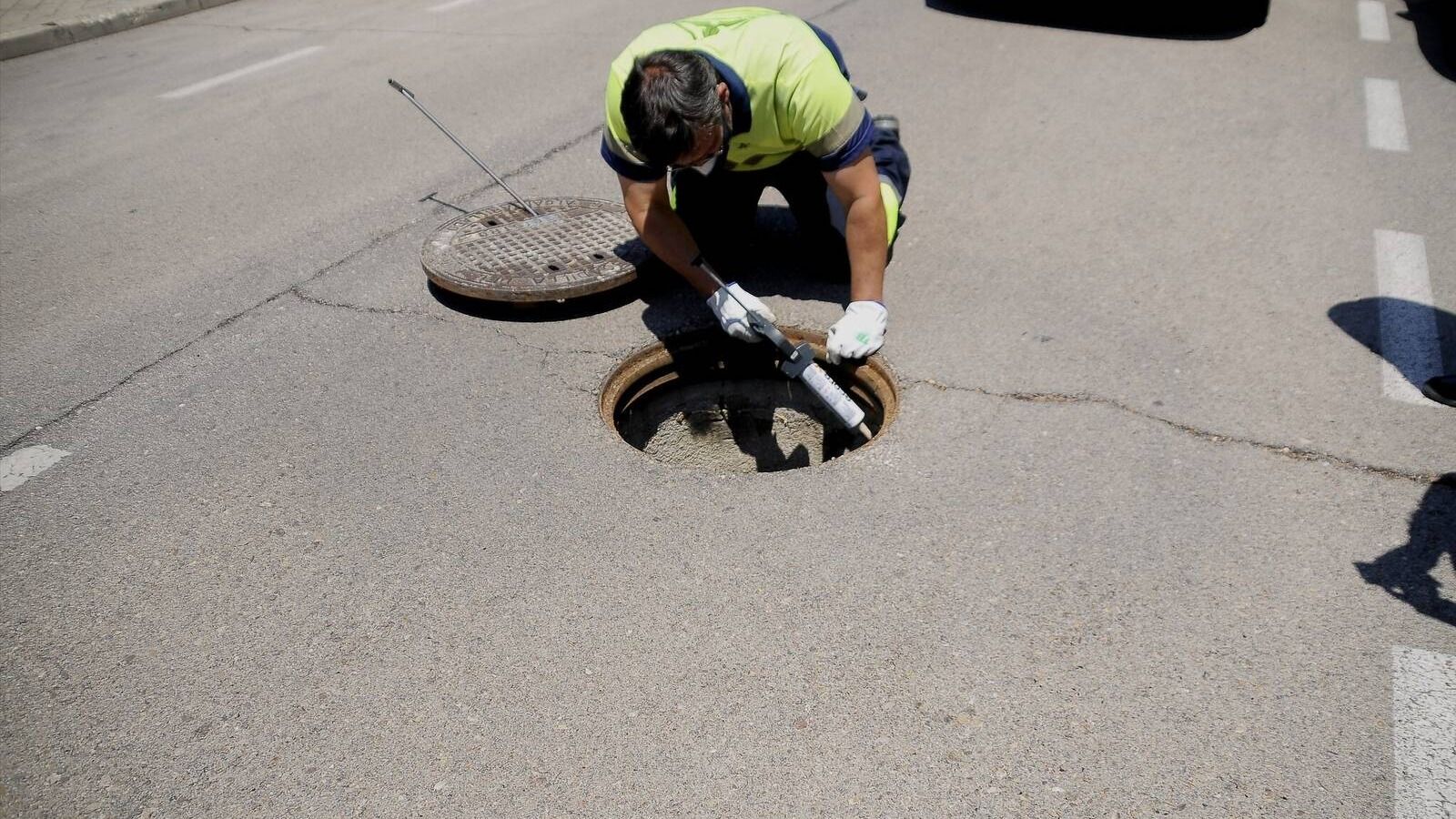 Boadilla continúa con los trabajos para el control de plagas e insectos