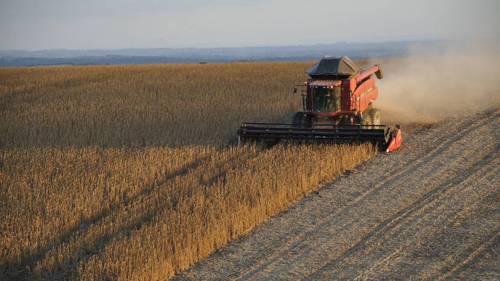 Software agrícola: ¿Qué es y para quién es útil?