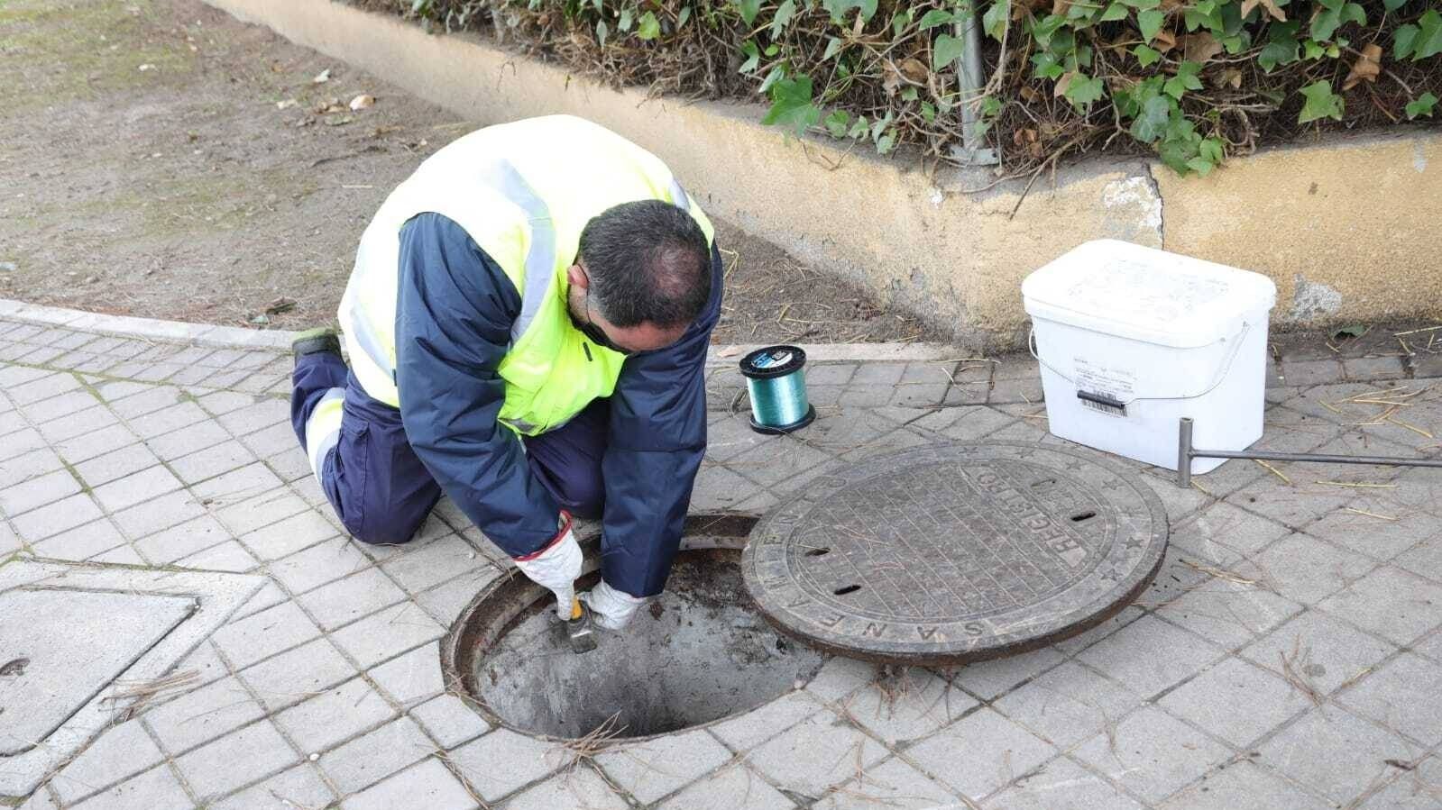 Comienzan los trabajos de control de roedores e insectos en Boadilla del Monte