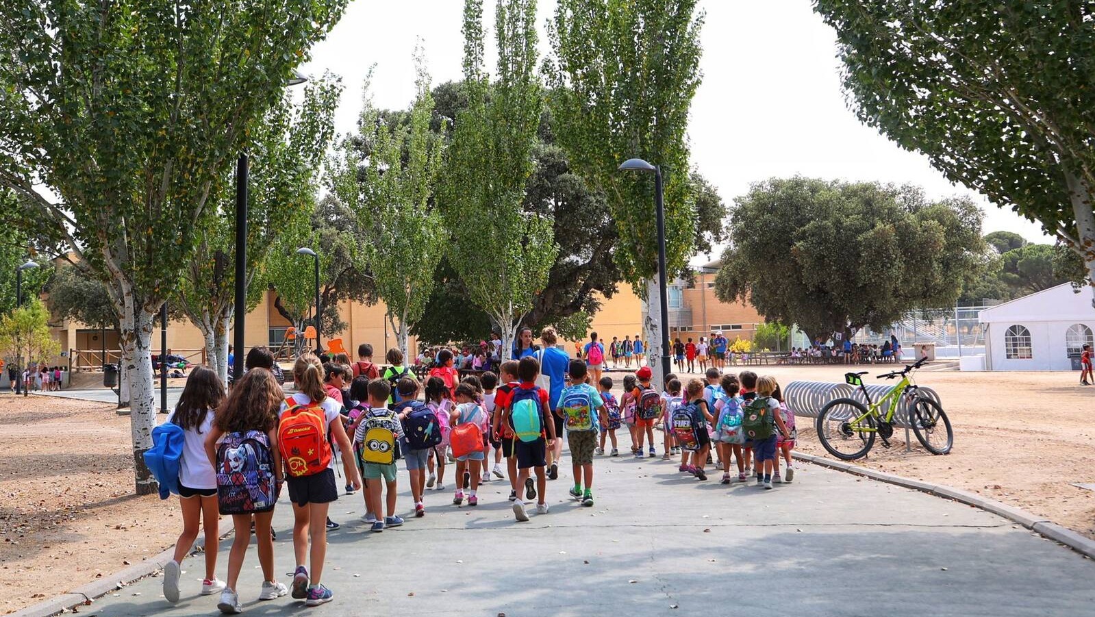 Plazas disponibles en las colonias y campus deportivos de Boadilla