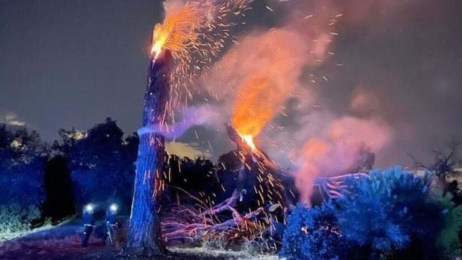Un rayo incinera un pino en el Monte de Boadilla