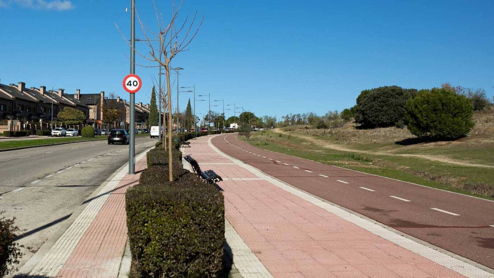 Boadilla sustituye los árboles afectados de la calle Miguel Ángel Cantero Oliva para evitar daños humanos y materiales 