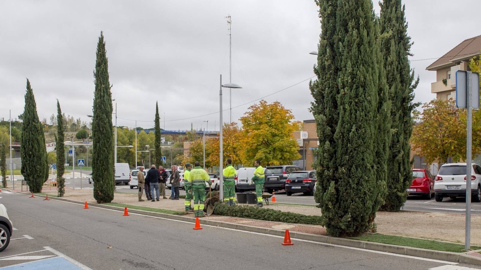 Las zonas verdes de Boadilla se ponen a punto para la temporada de otoño-invierno