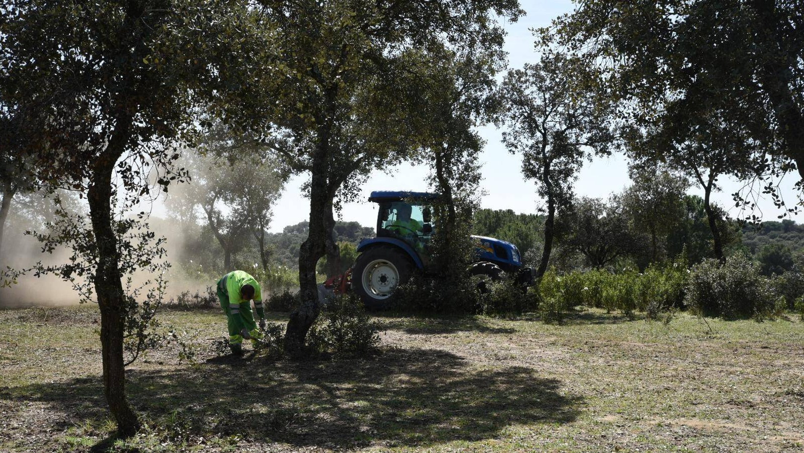 En marcha los trabajos de repaso de limpieza de las fajas perimetrales del monte de Boadilla