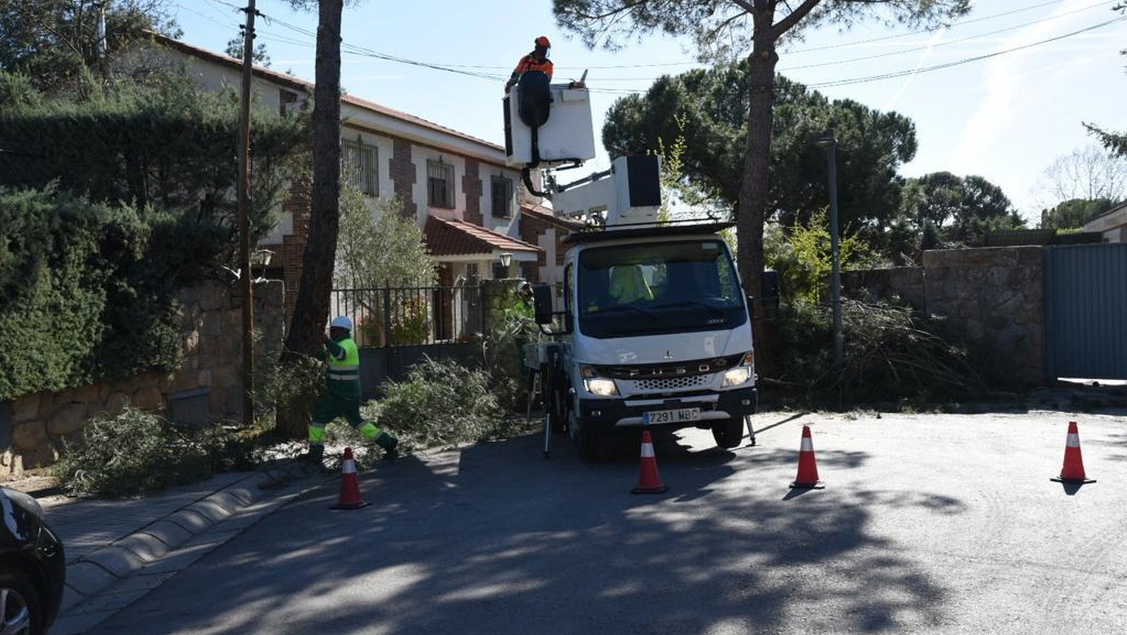 Boadilla poda casi 4.500 árboles en distintas zonas del municipio Boadilla poda casi 4.500 árboles en distintas zonas del municipio