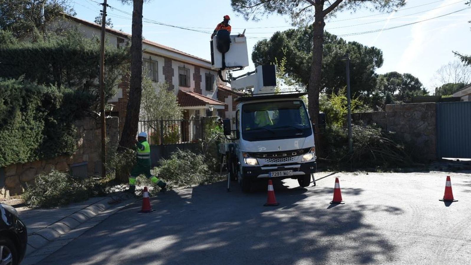 Boadilla poda casi 4.500 árboles en distintas zonas del municipio 