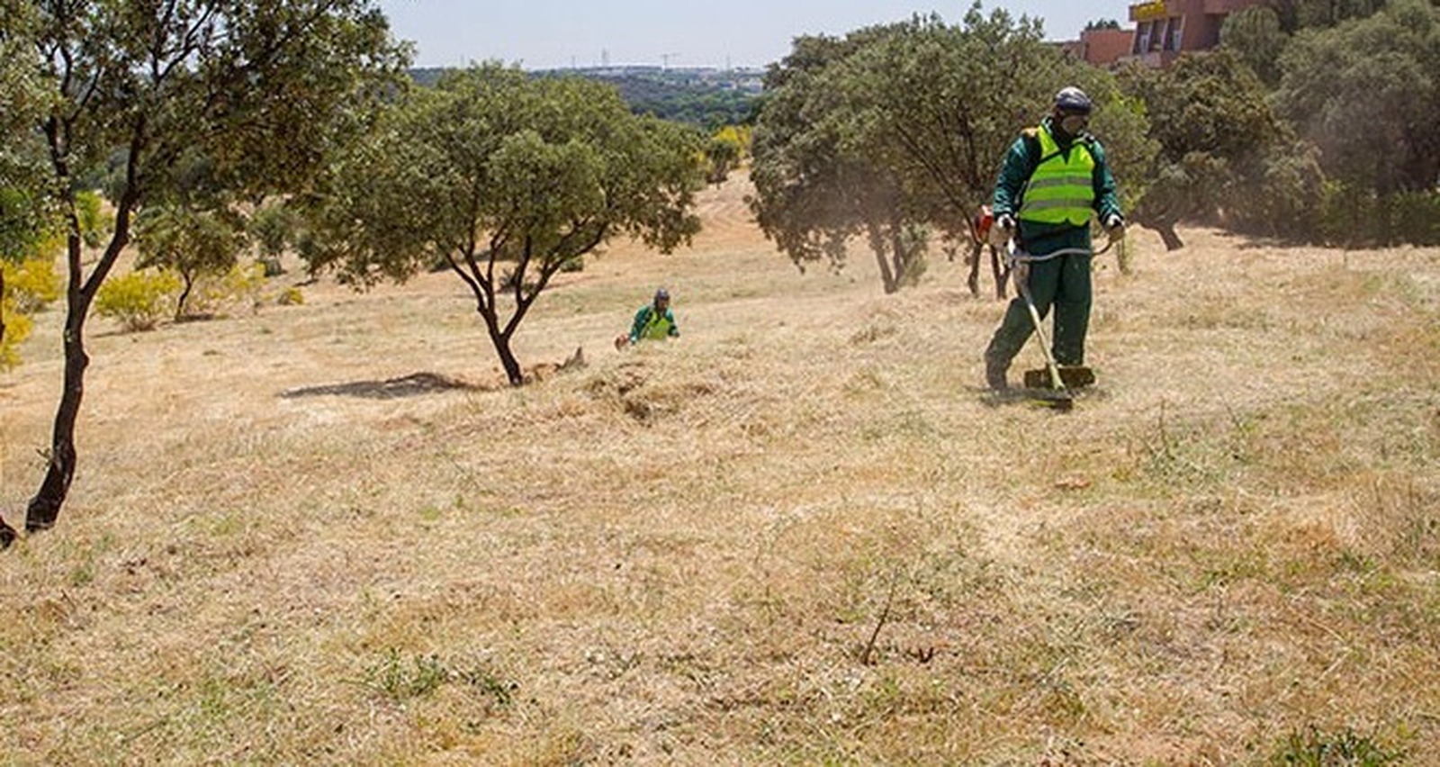 Boadilla recuerda la obligación de limpiar y desbrozar las parcelas para evitar incendios