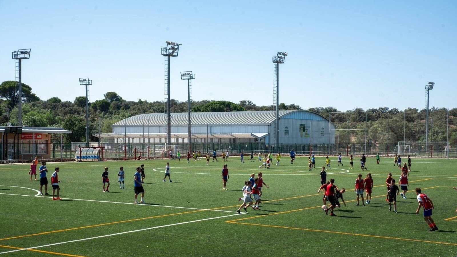 Las colonias y campamentos deportivos de verano en Boadilla del Monte atraen a casi 2000 niños