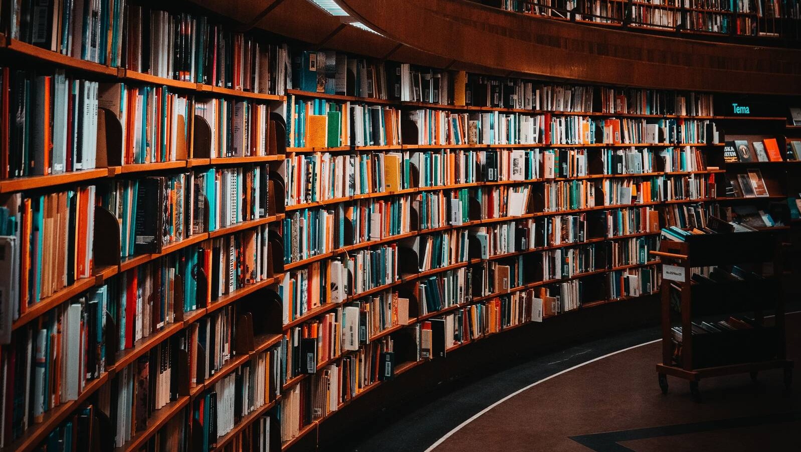 Un recorrido por las bibliotecas públicas más icónicas de la Comunidad de Madrid Un recorrido por las bibliotecas públicas más icónicas de la Comunidad de Madrid