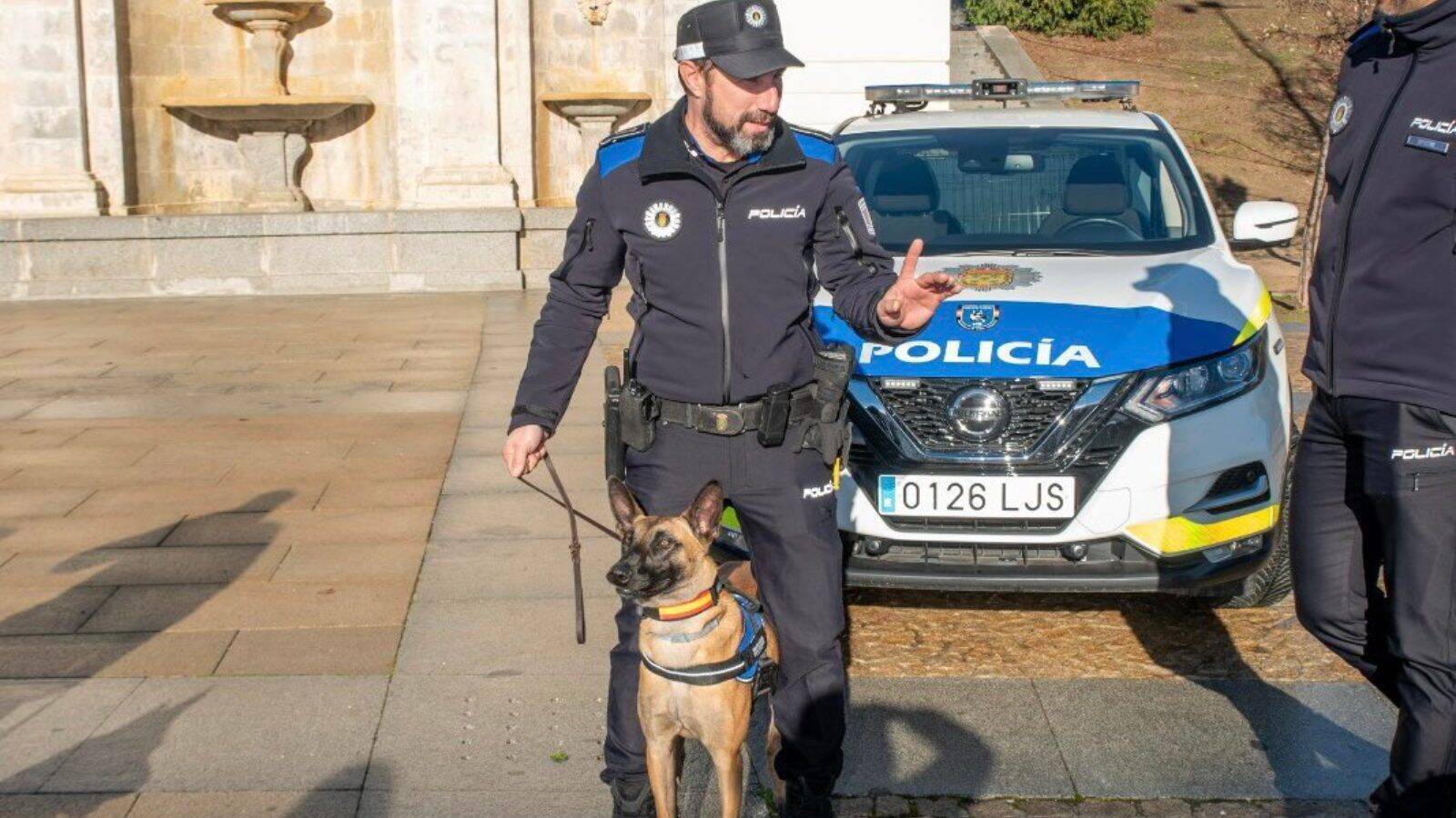 Nueva unidad canina en la Policía Local de Boadilla del Monte
