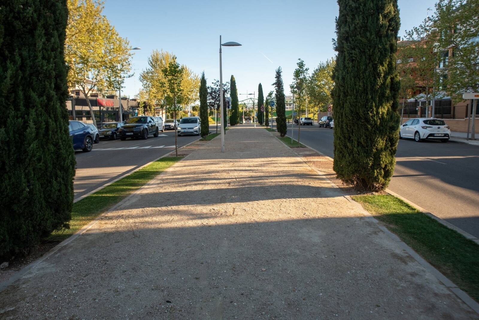 El Ayuntamiento ha plantado más de mil árboles en varias zonas de Boadilla