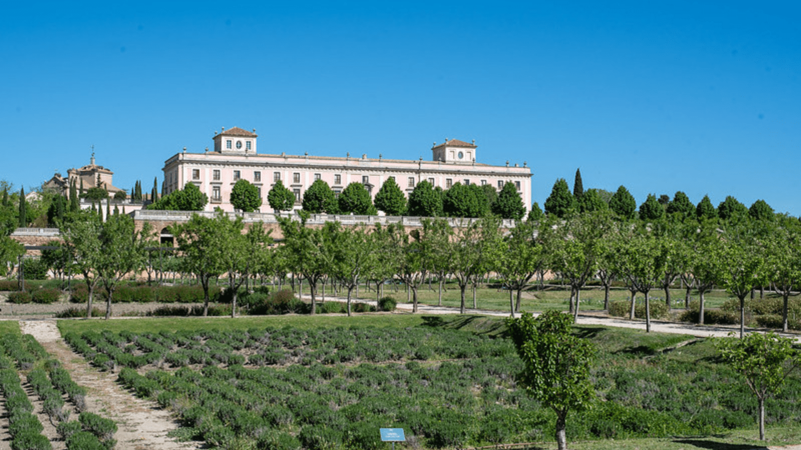 La academia del palacio analizará la figura del infante D. Luis con profesores y expertos en el siglo XVIII